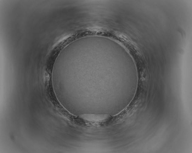 X0000112521302200908171346