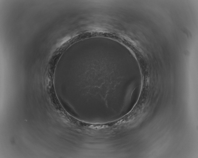 X0000112521303200908171346