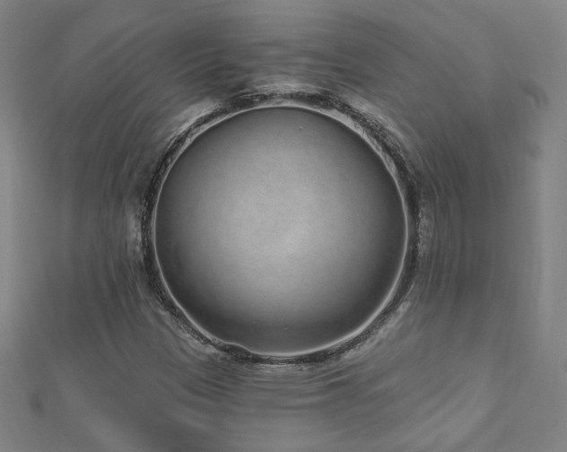 X0000112521305200908171346