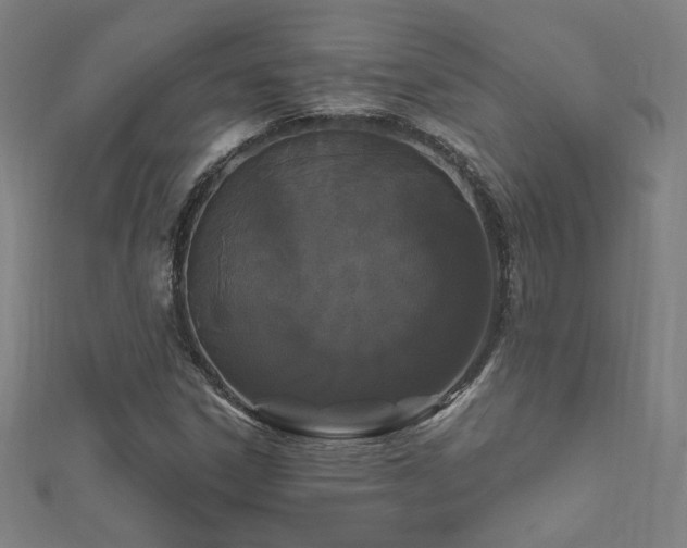 X0000112521306200908171346