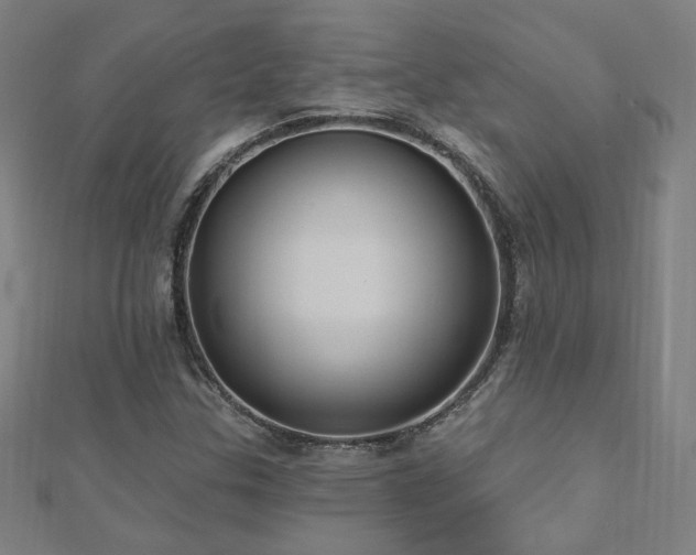 X0000112521307200908171346