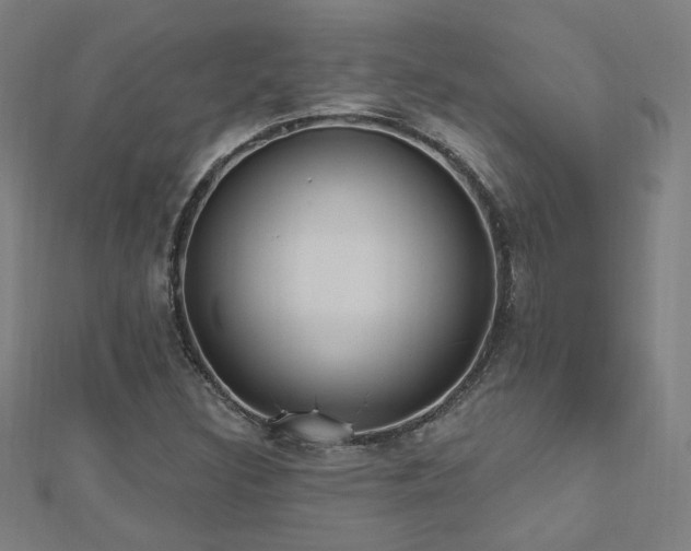 X0000112521308200908171346