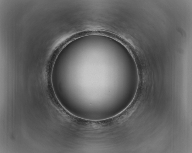 X0000112521311200908171346