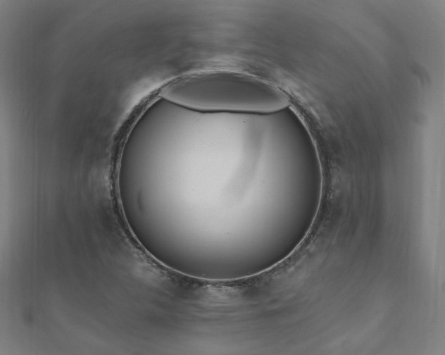 X0000112521312200908171346