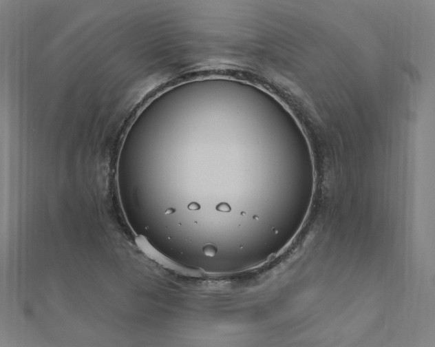 X0000112521313200908171346