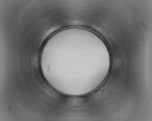 X0000112521314200908171346