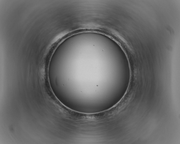 X0000112521315200908171346