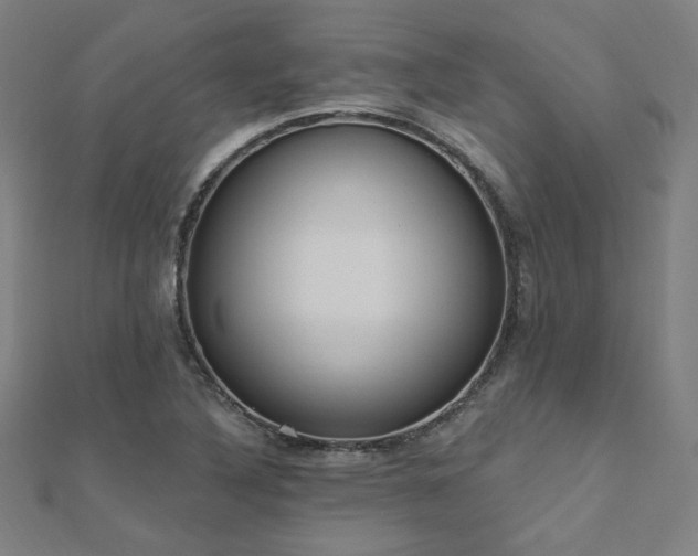 X0000112521316200908171346