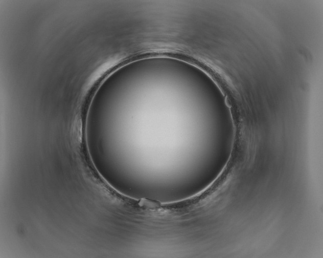 X0000112521317200908171346