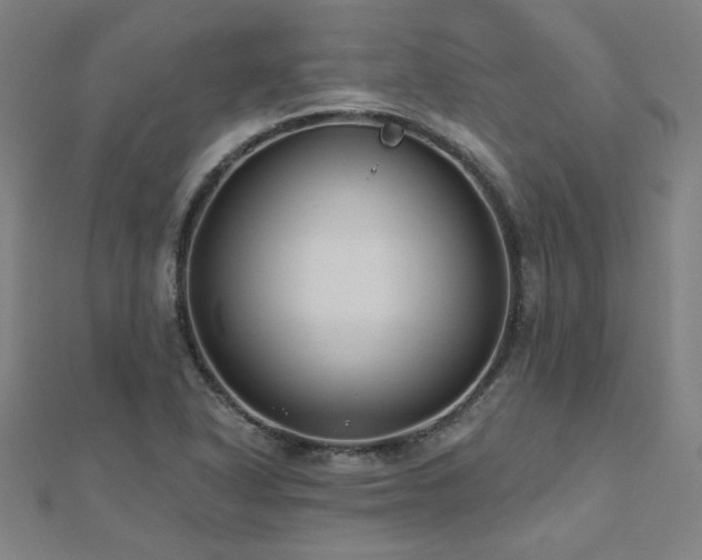 X0000112521318200908171346