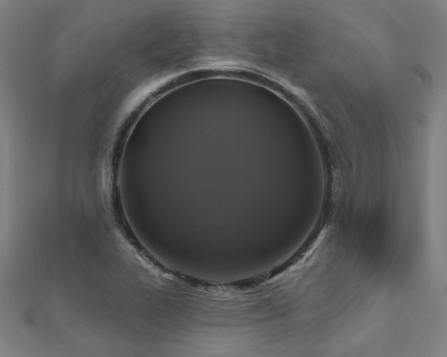 X0000112521319200908171346