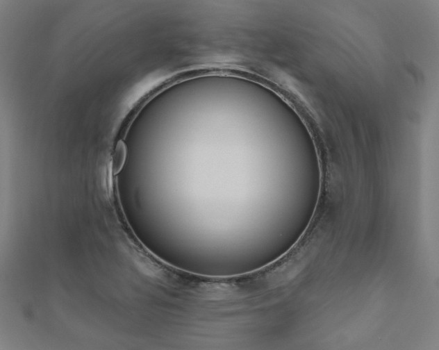 X0000112521320200908171346