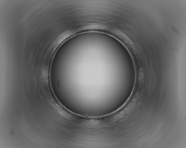 X0000112521321200908171346