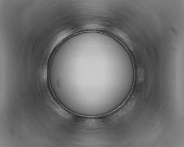 X0000112521322200908171346
