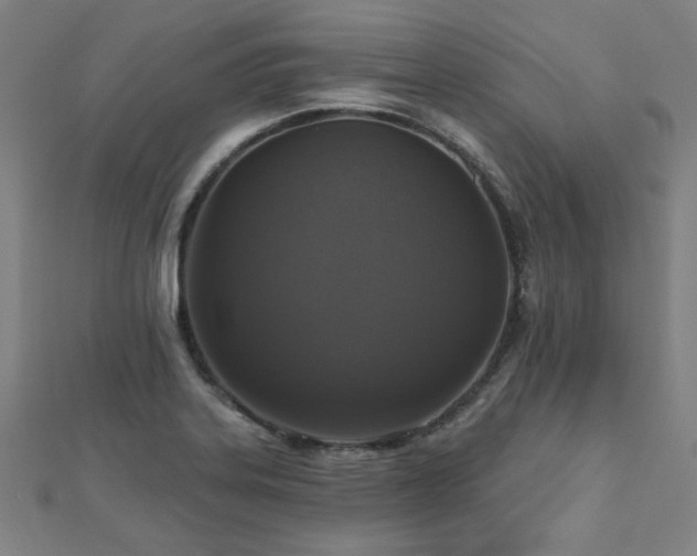 X0000112521323200908171346