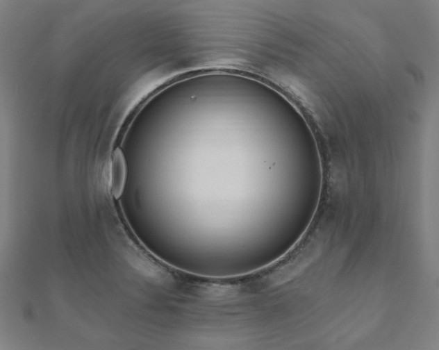 X0000112521324200908171346