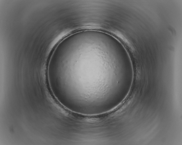 X0000112521325200908171346