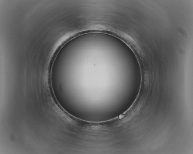 X0000112521326200908171346