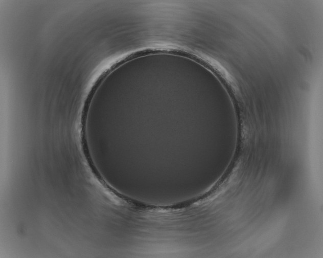 X0000112521327200908171346
