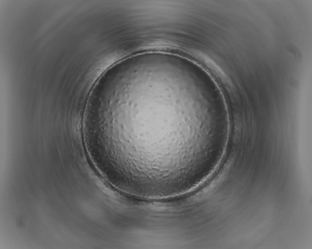 X0000112521329200908171346