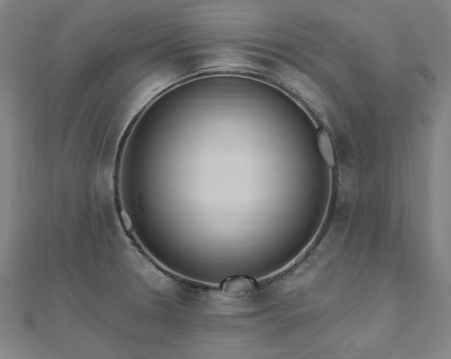 X0000112521330200908171346