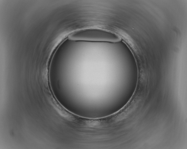 X0000112521332200908171346
