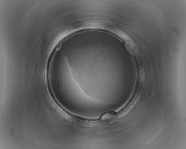 X0000112521334200908171346