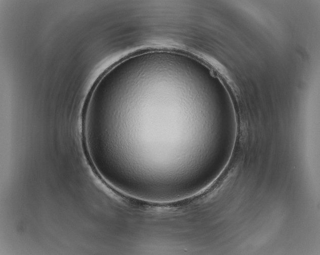 X0000112521335200908171346