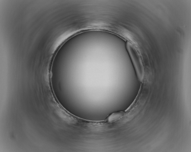 X0000112521336200908171346