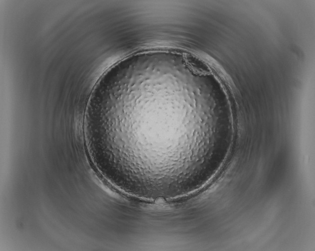 X0000112521337200908171346