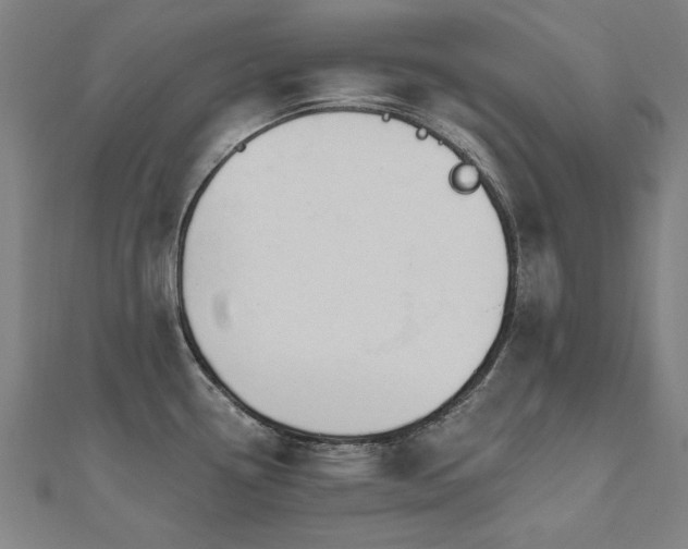 X0000112521338200908171346