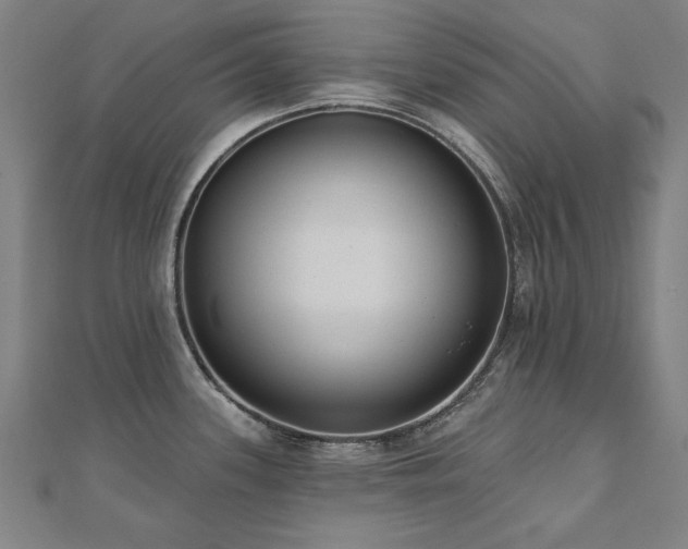 X0000112521339200908171346