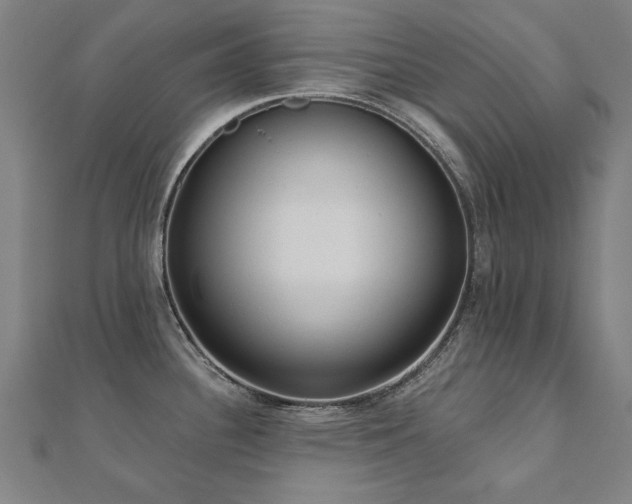 X0000112521340200908171346