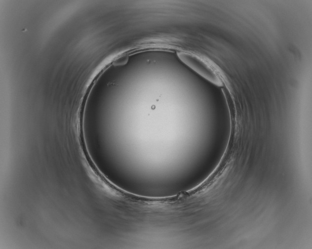 X0000112521341200908171346