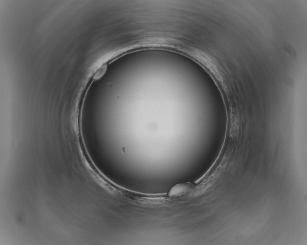 X0000112521342200908171346