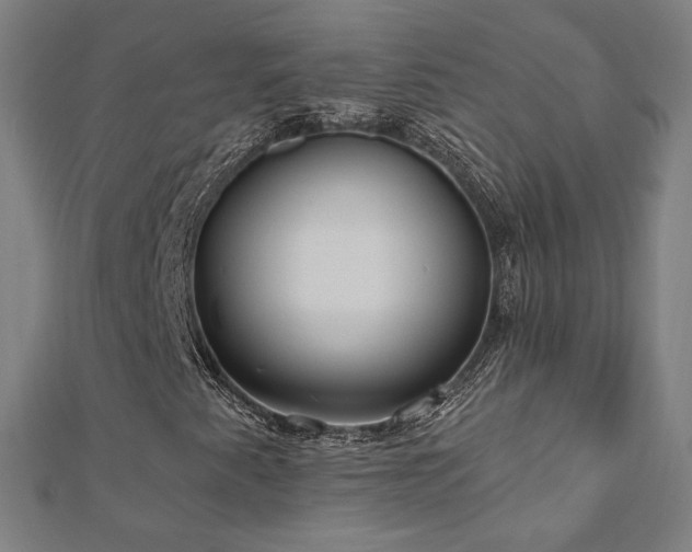 X0000112521345200908171346
