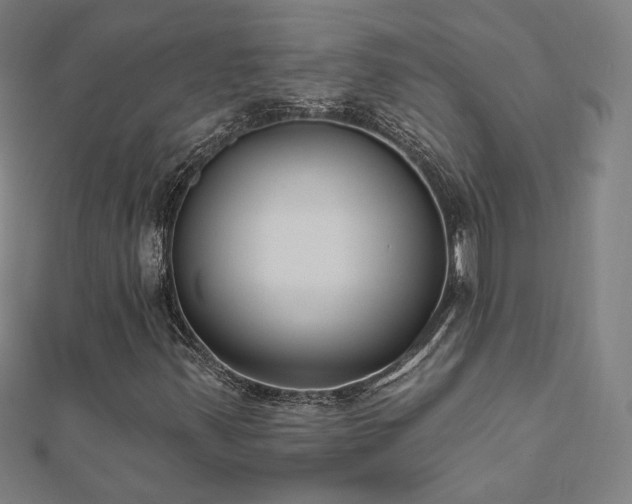 X0000112521347200908171346
