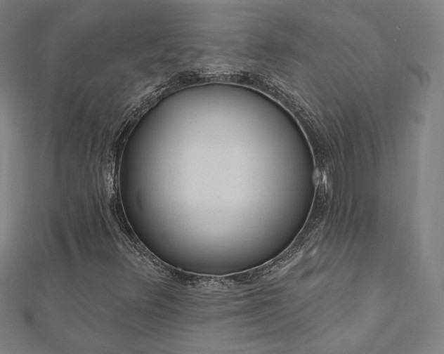 X0000112521348200908171346