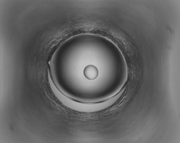 X0000112521349200908171346