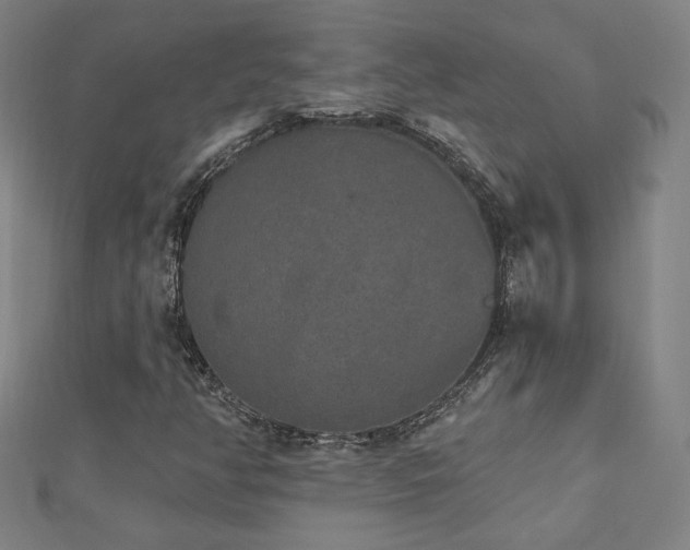 X0000112521350200908171346
