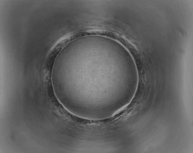X0000112521351200908171346