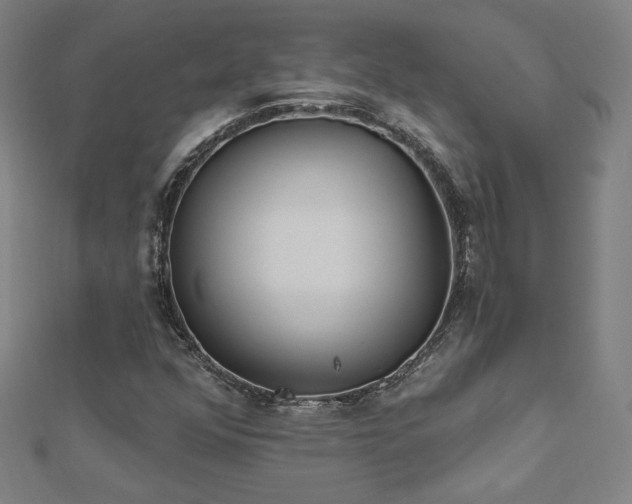 X0000112521352200908171346