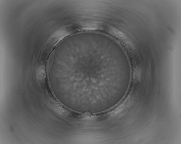 X0000112521353200908171346