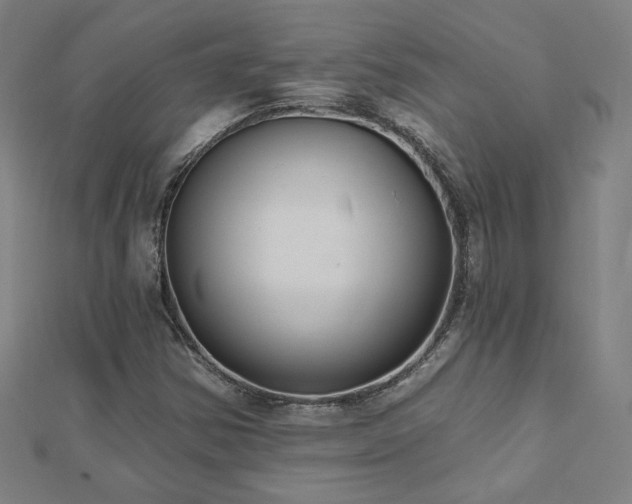X0000112521354200908171346