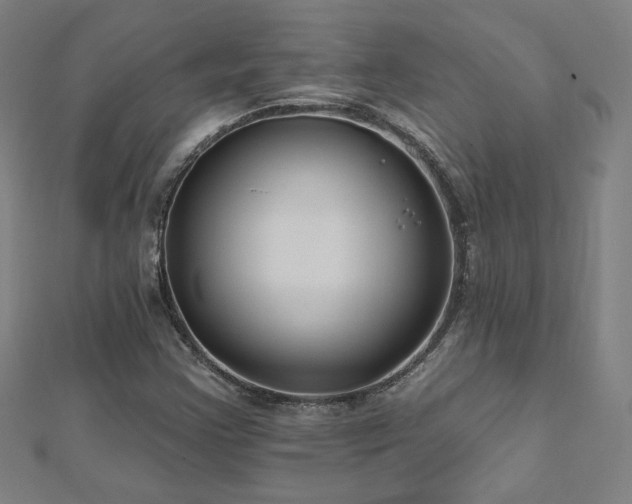 X0000112521355200908171346