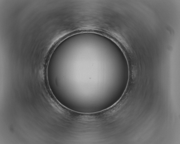 X0000112521356200908171346