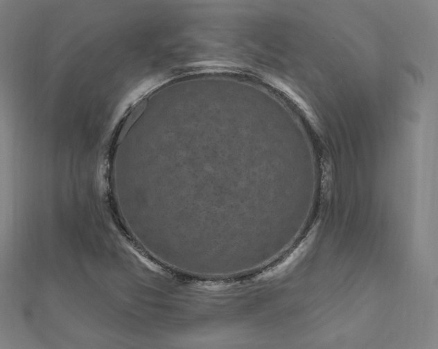 X0000112521357200908171346