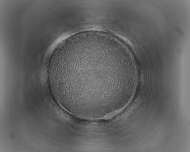 X0000112521359200908171346