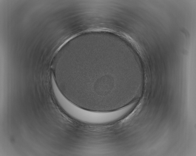 X0000112521361200908171346