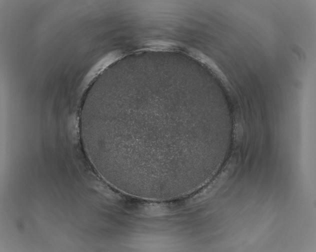 X0000112521362200908171345